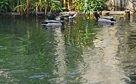 Les Berges Du Moulin